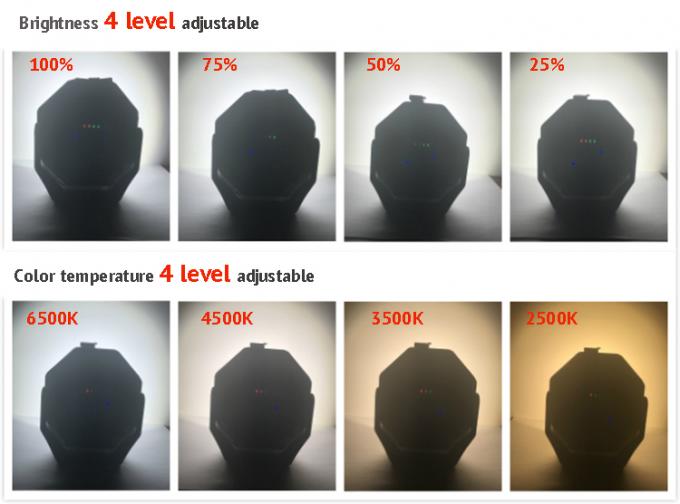 2 In 1 High Power CRI 95 LED Car Detailing Light For Color Match With UV Curing Light 3